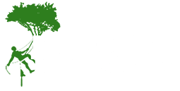 Tree Surgery Slough from Majestic Tree Care Ltd Logo